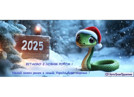 ВІТАЄМО З НОВИМ  2025 РОКОМ !